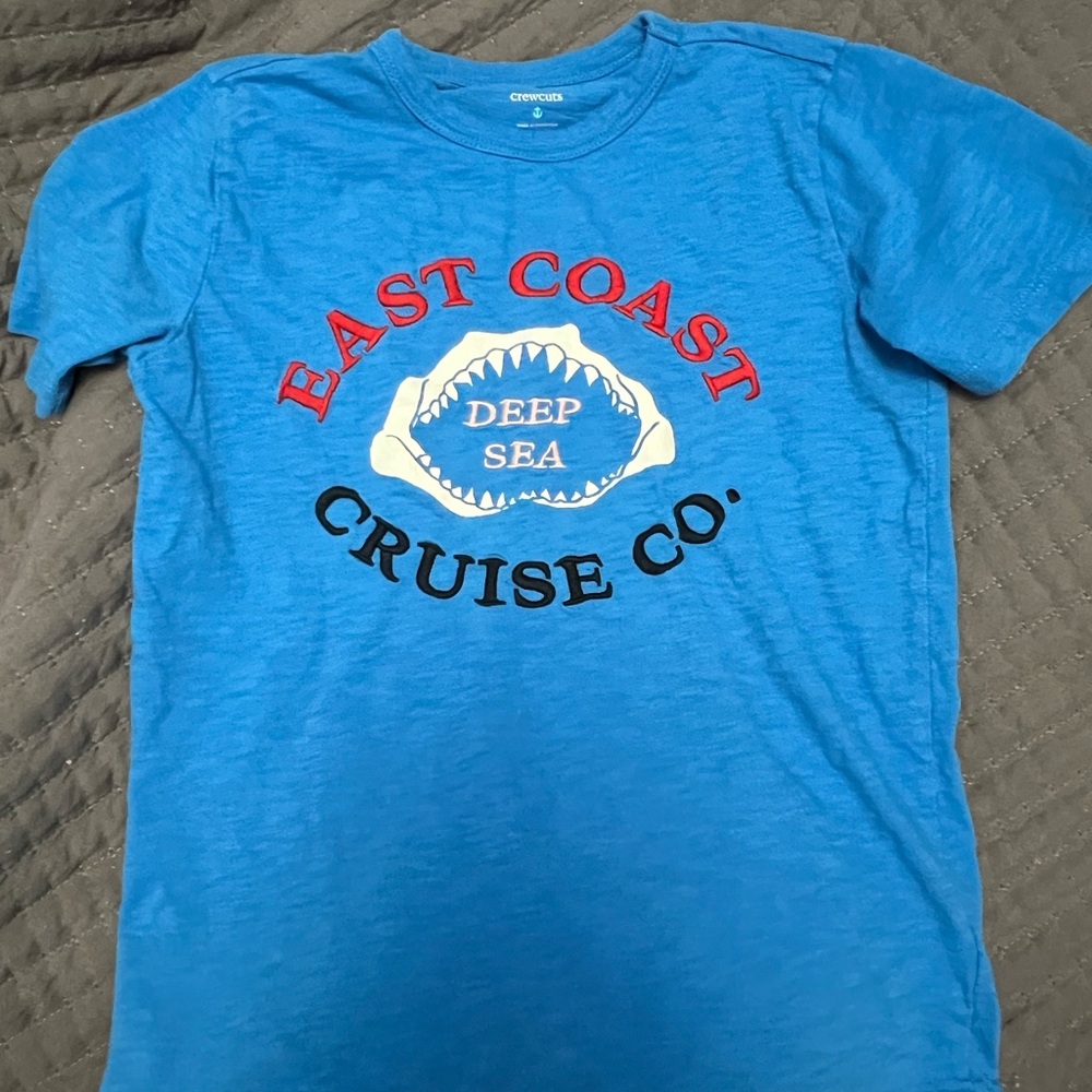 Boys blue Graphic T-Shirt